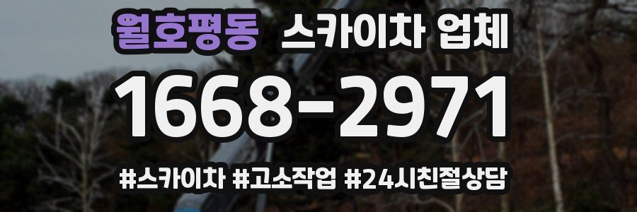 월호평동 스카이차 업체