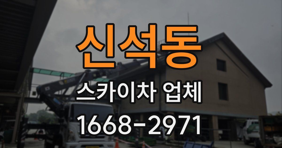 신석동 스카이차 업체