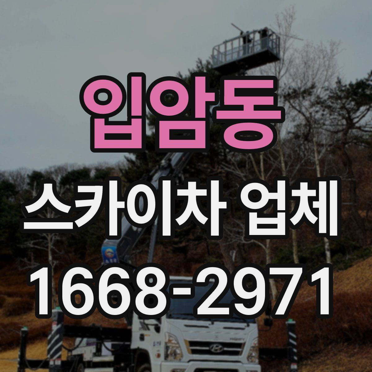 입암동 스카이차 업체