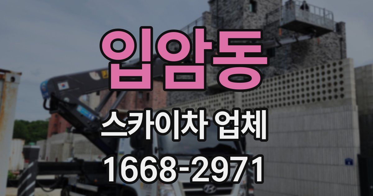입암동 스카이차 업체