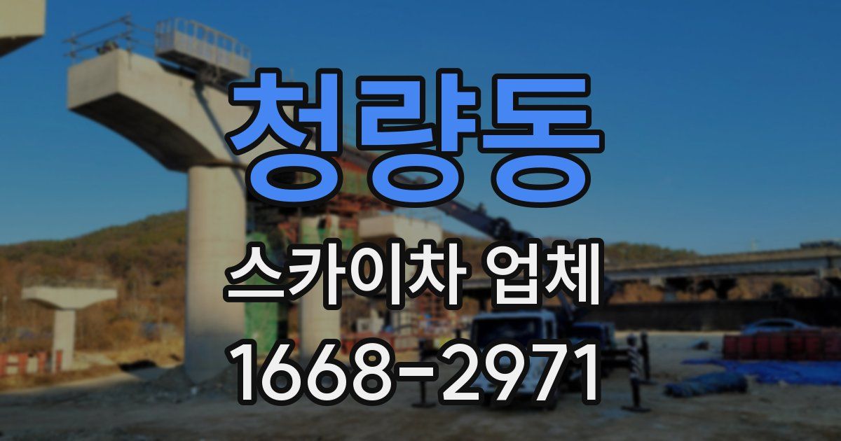청량동 스카이차 업체