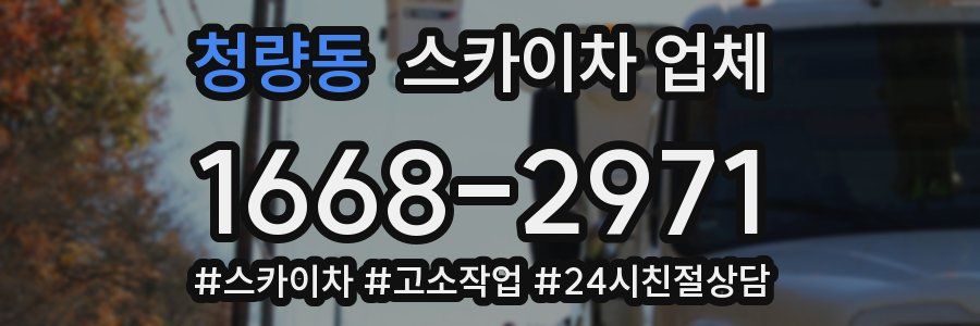 청량동 스카이차 업체
