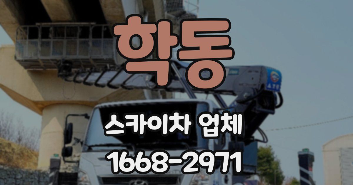 학동 스카이차 업체