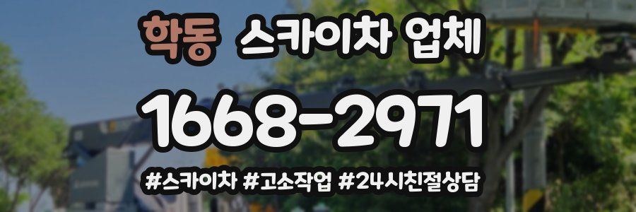 학동 스카이차 업체