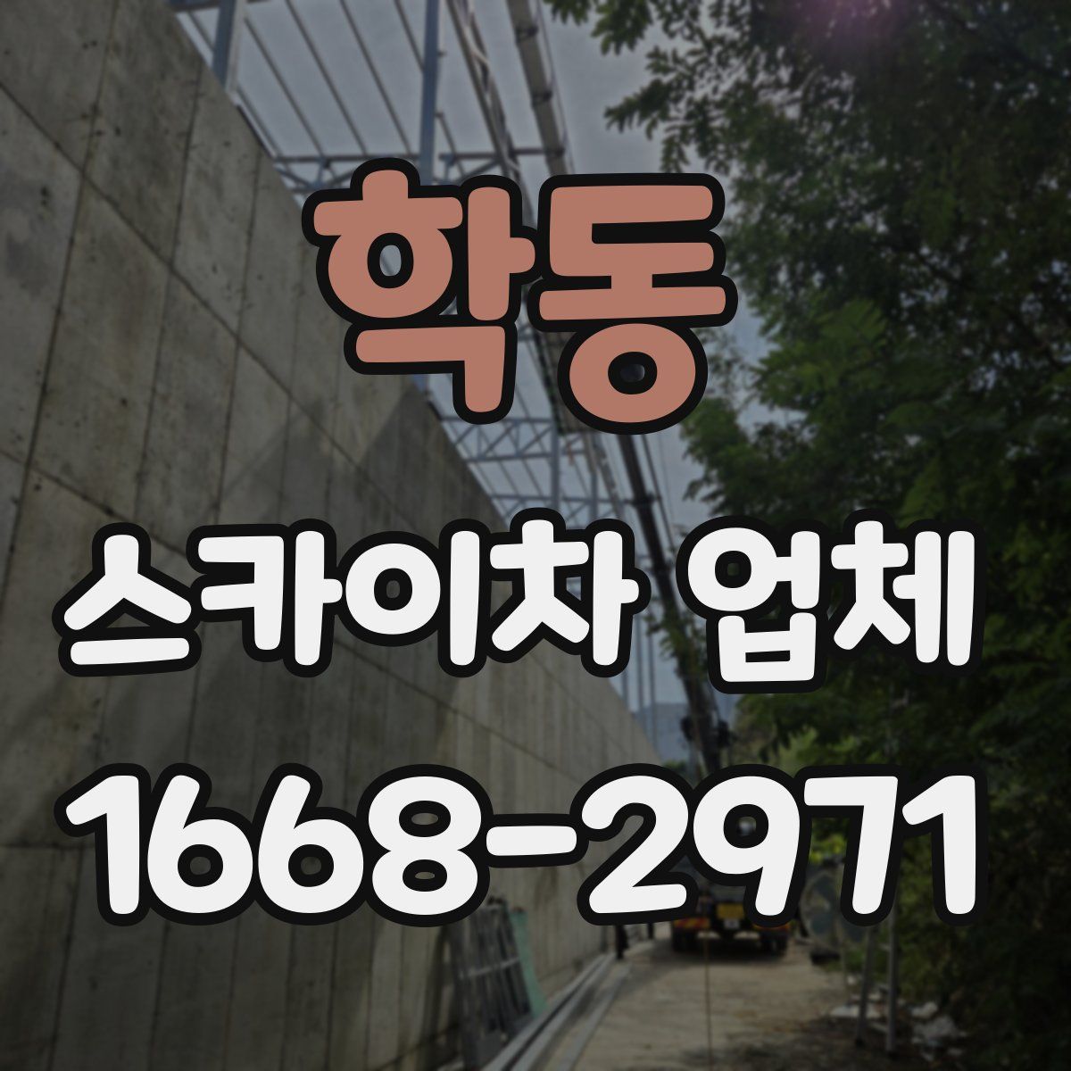 학동 스카이차 업체