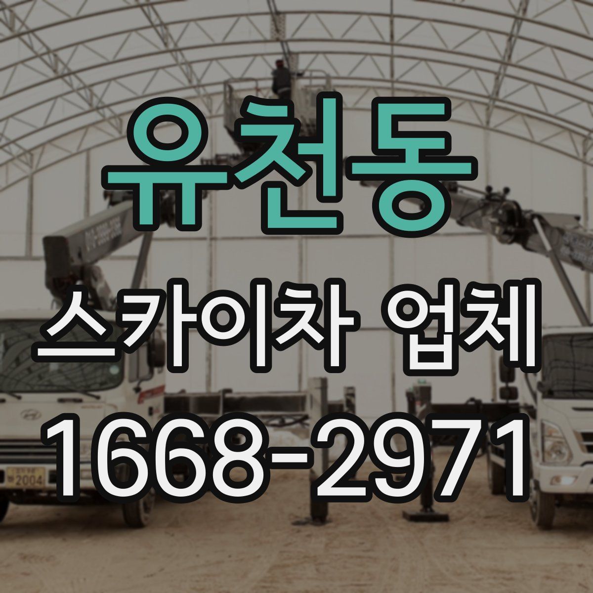 유천동 스카이차 업체