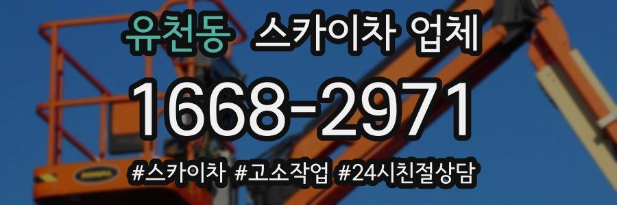 유천동 스카이차 업체