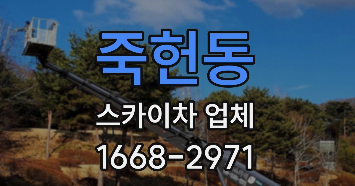 죽헌동 스카이차 업체