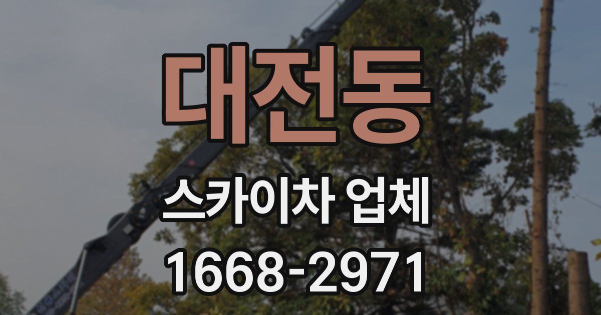 대전동 스카이차 업체