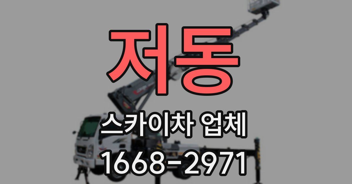 저동 스카이차 업체