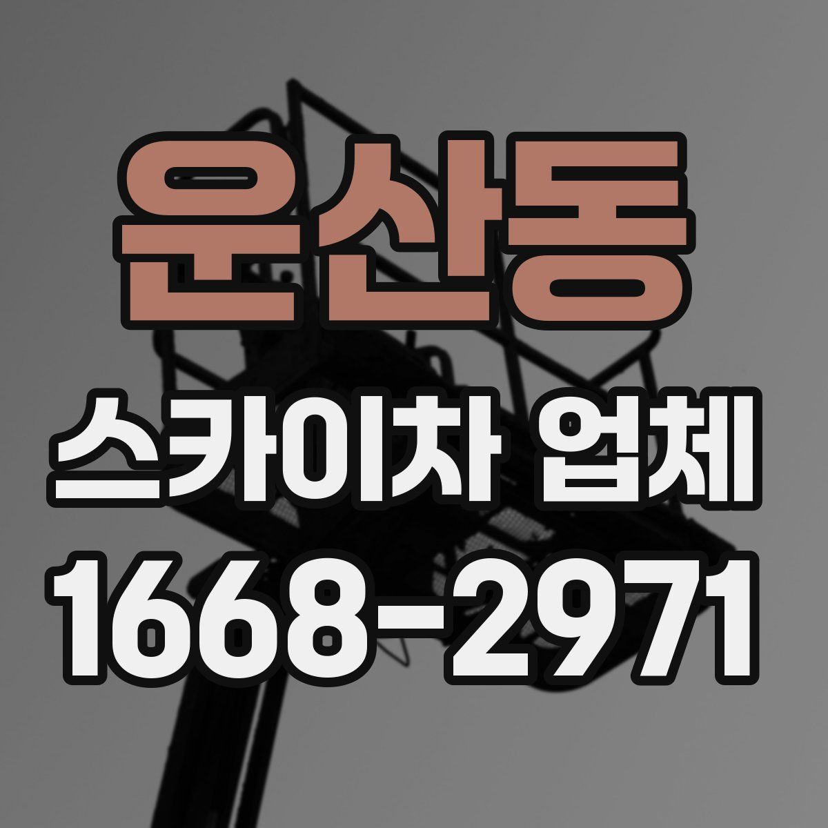 운산동 스카이차 업체