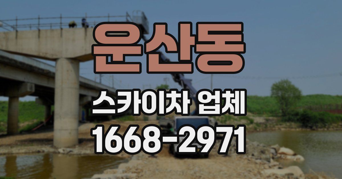 운산동 스카이차 업체