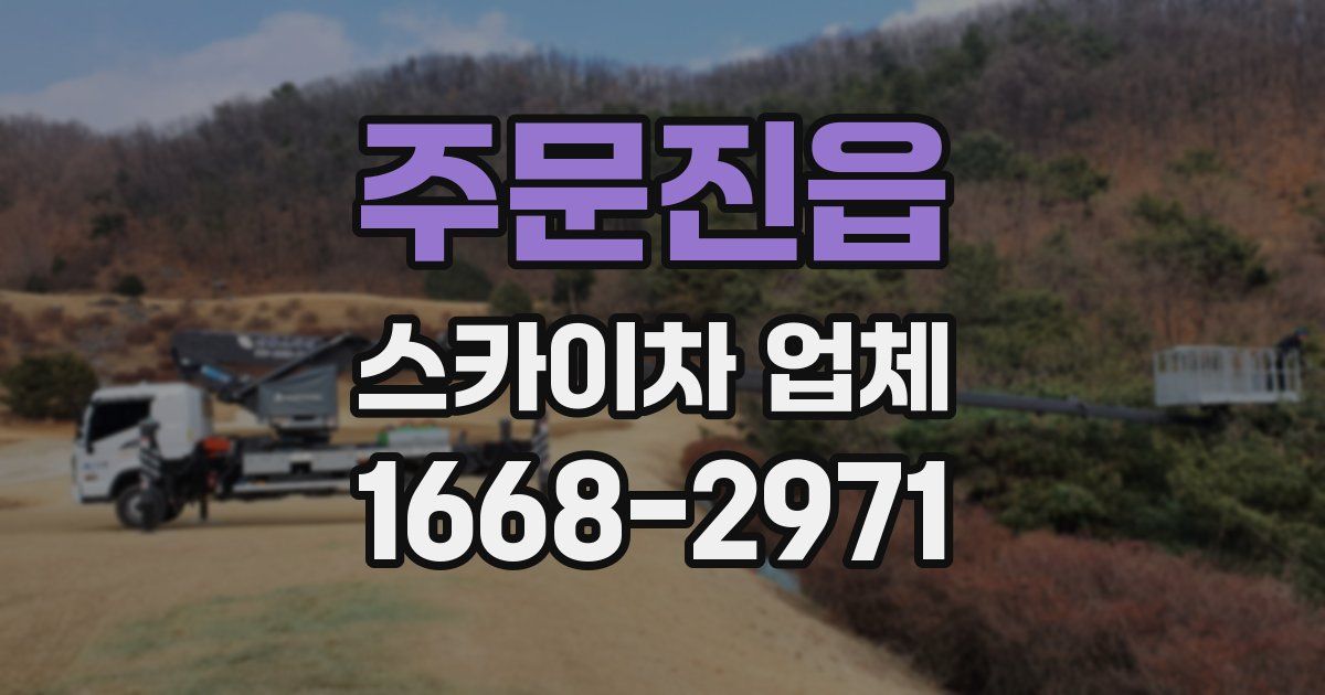 주문진읍 스카이차 업체
