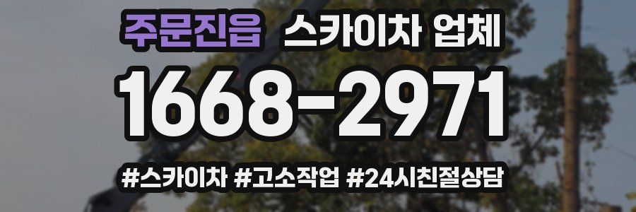 주문진읍 스카이차 업체
