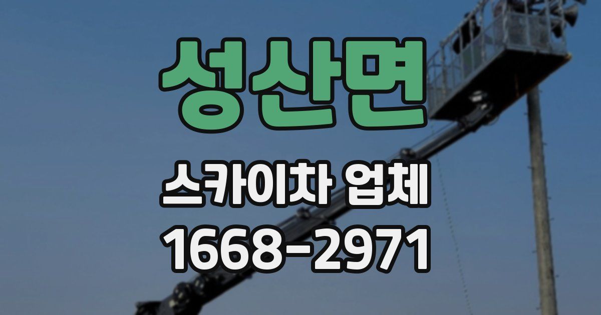 성산면 스카이차 업체