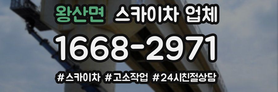 왕산면 스카이차 업체