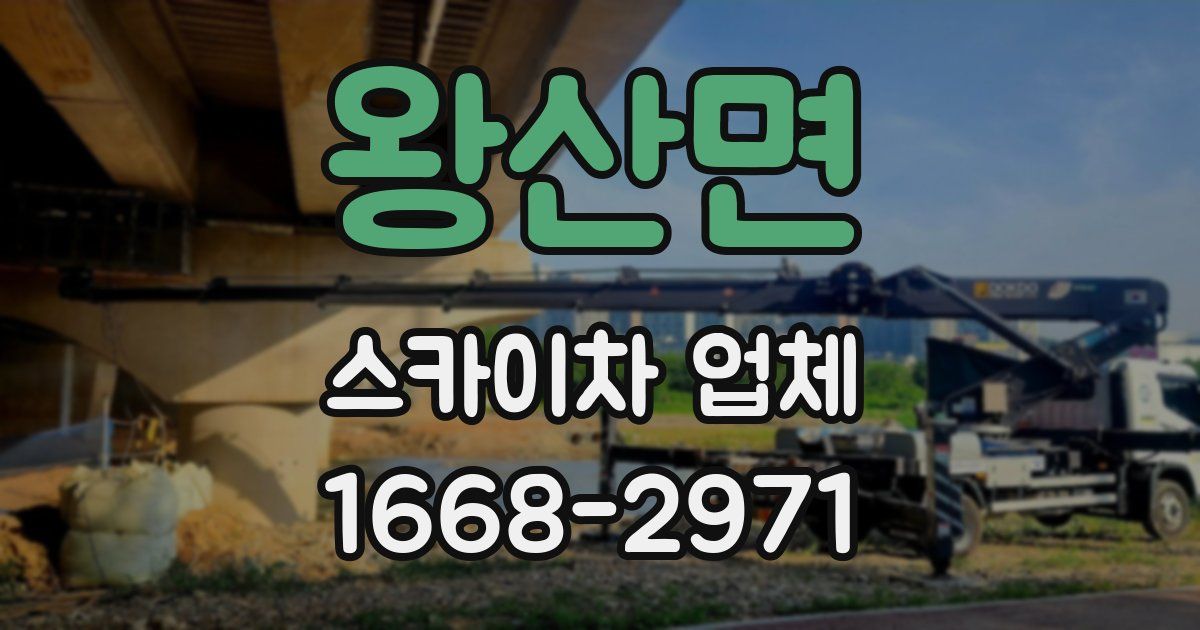 왕산면 스카이차 업체