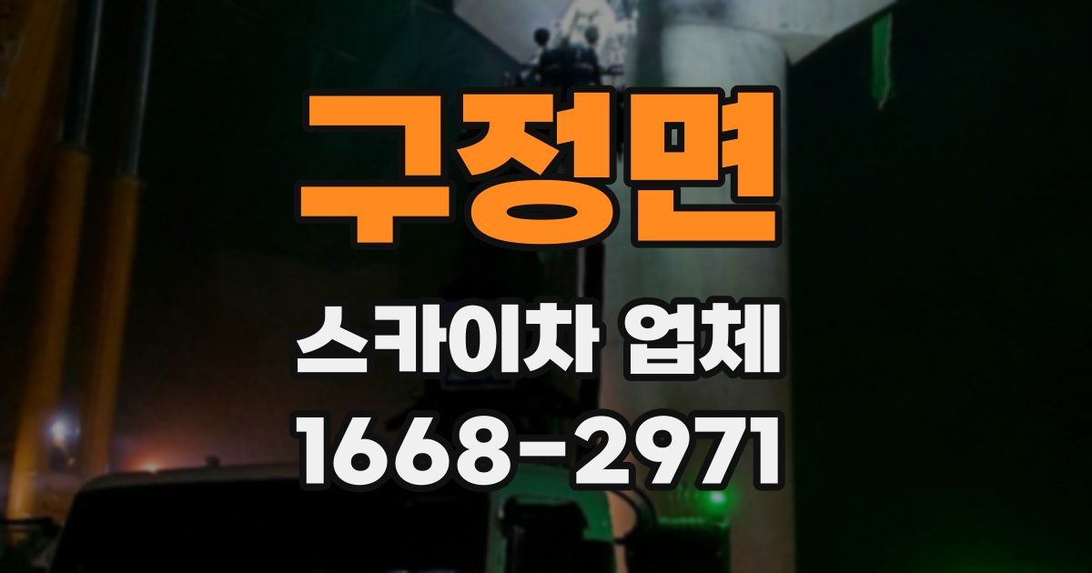 구정면 스카이차 업체