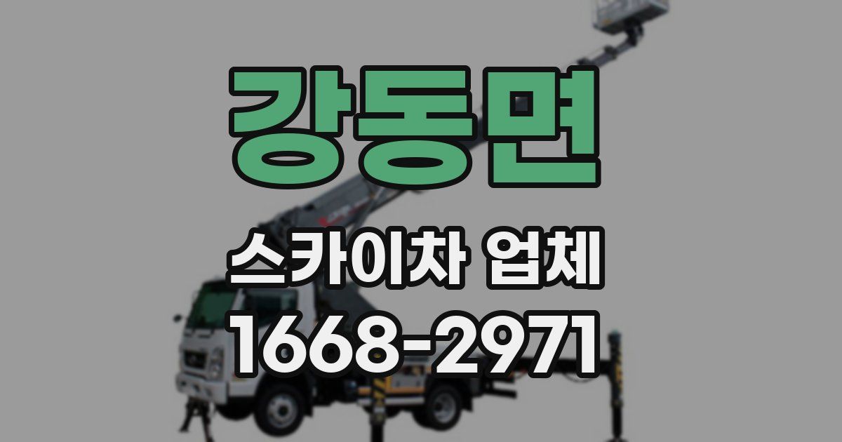 강동면 스카이차 업체
