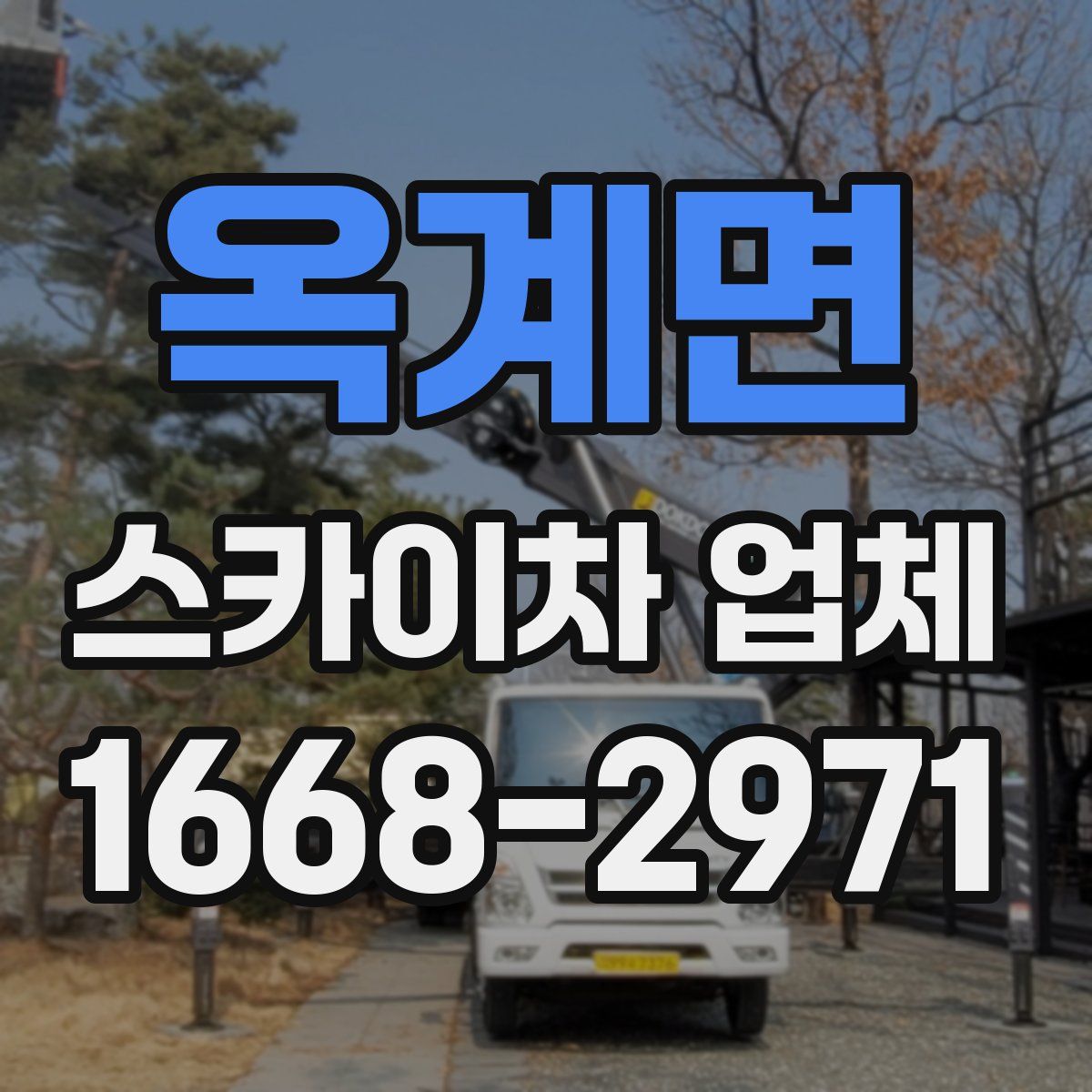 옥계면 스카이차 업체