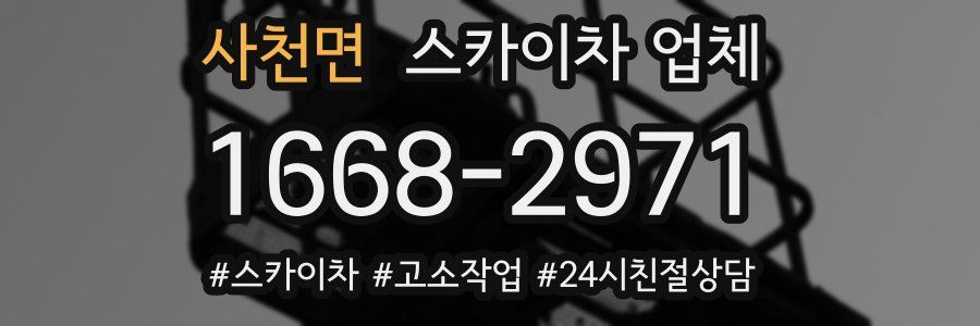 사천면 스카이차 업체