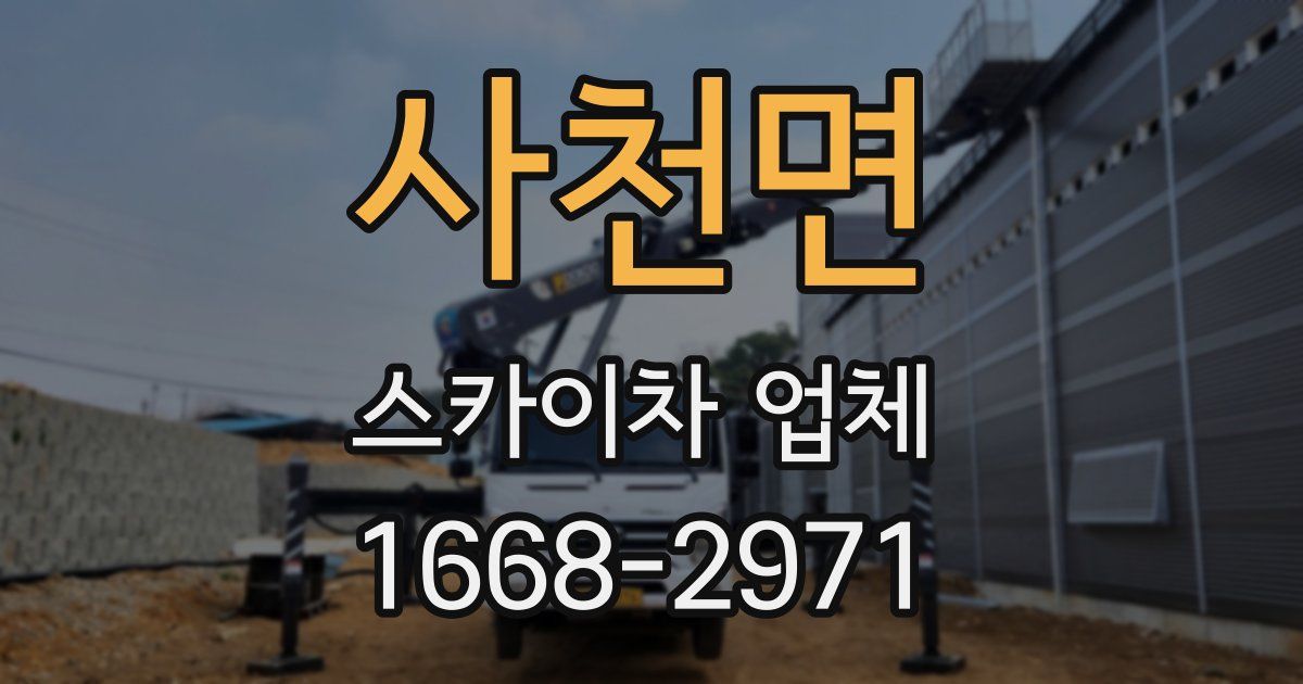 사천면 스카이차 업체