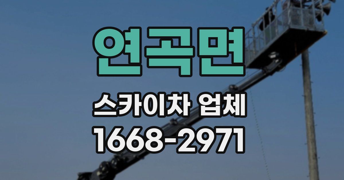 연곡면 스카이차 업체