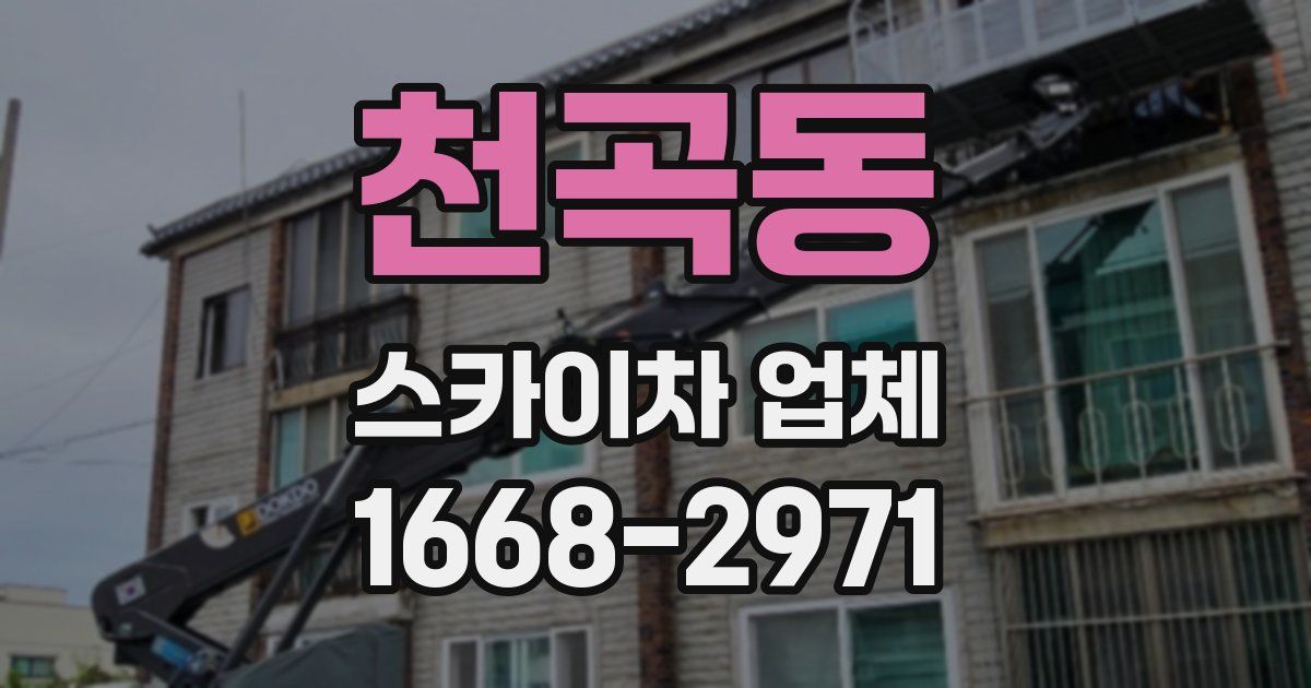 천곡동 스카이차 업체