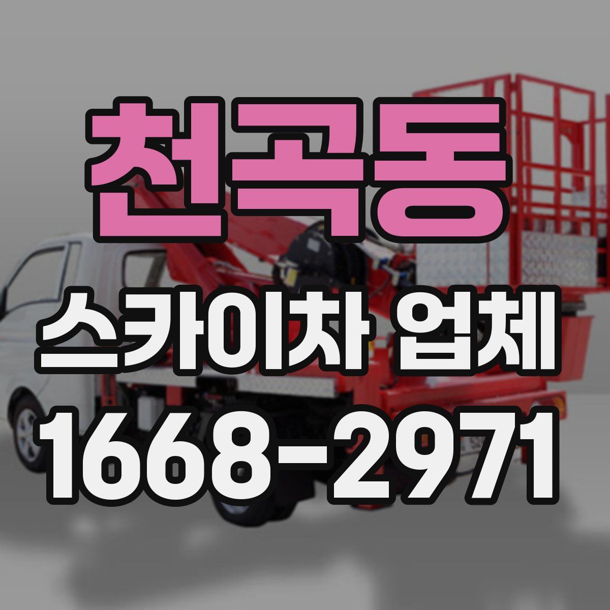 천곡동 스카이차 업체