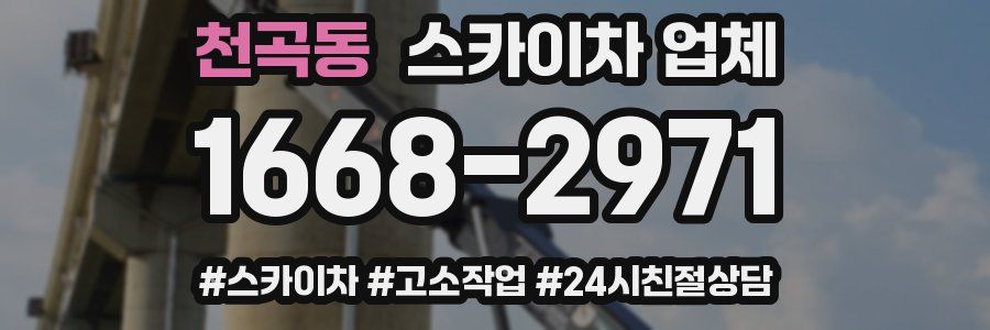 천곡동 스카이차 업체