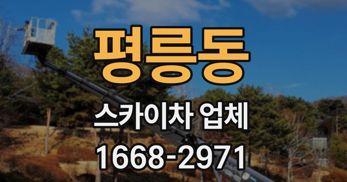 평릉동 스카이차 업체