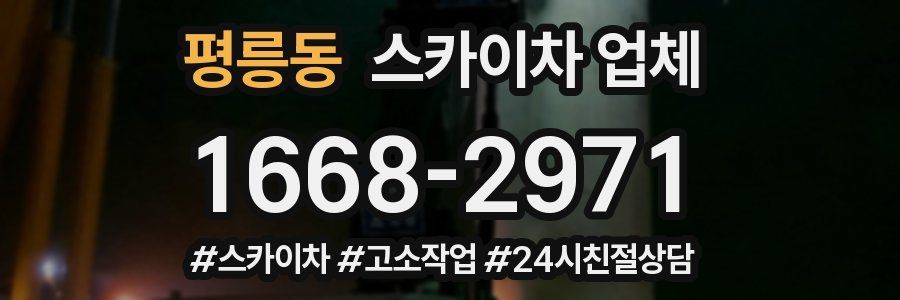 평릉동 스카이차 업체