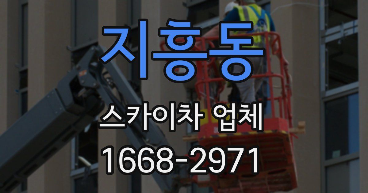지흥동 스카이차 업체