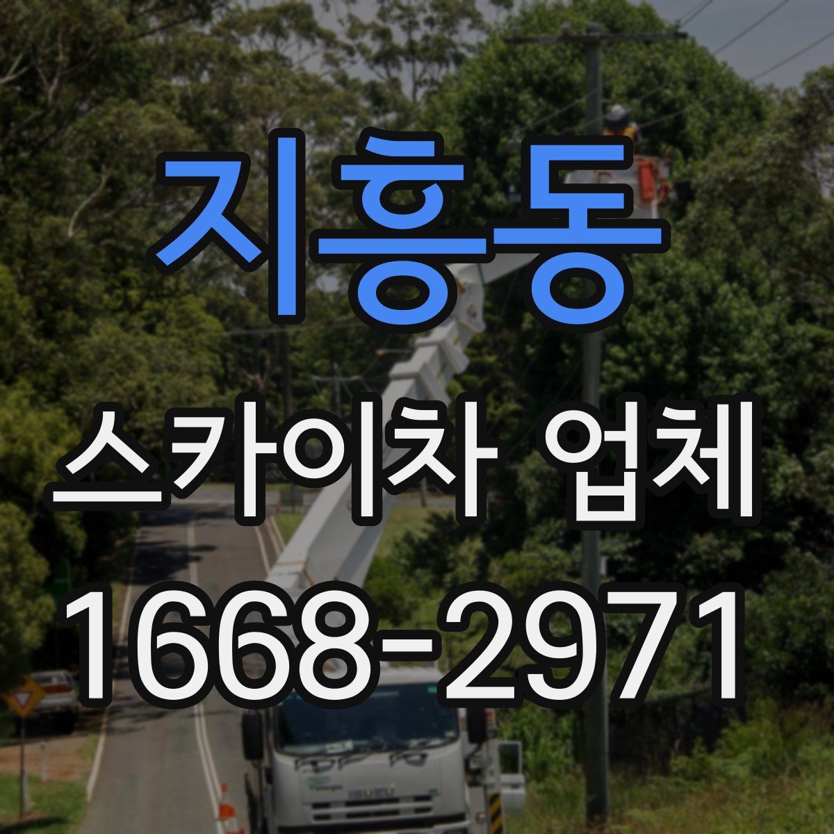 지흥동 스카이차 업체