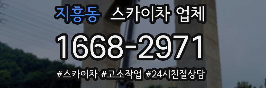 지흥동 스카이차 업체