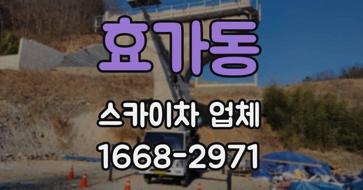 효가동 스카이차 업체