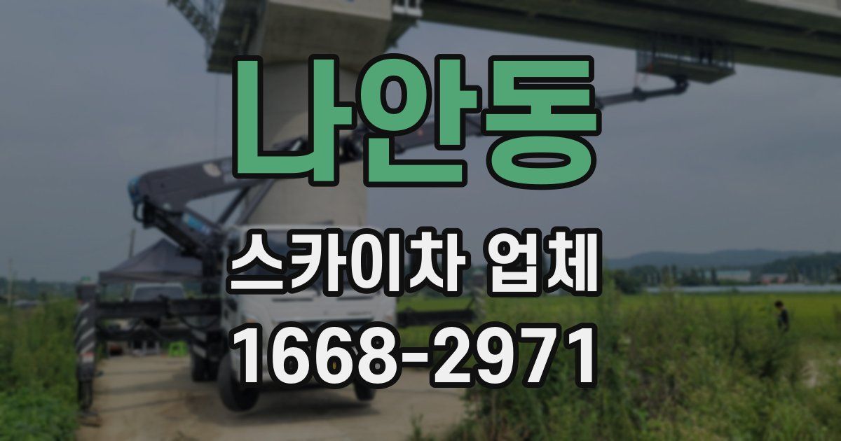 나안동 스카이차 업체