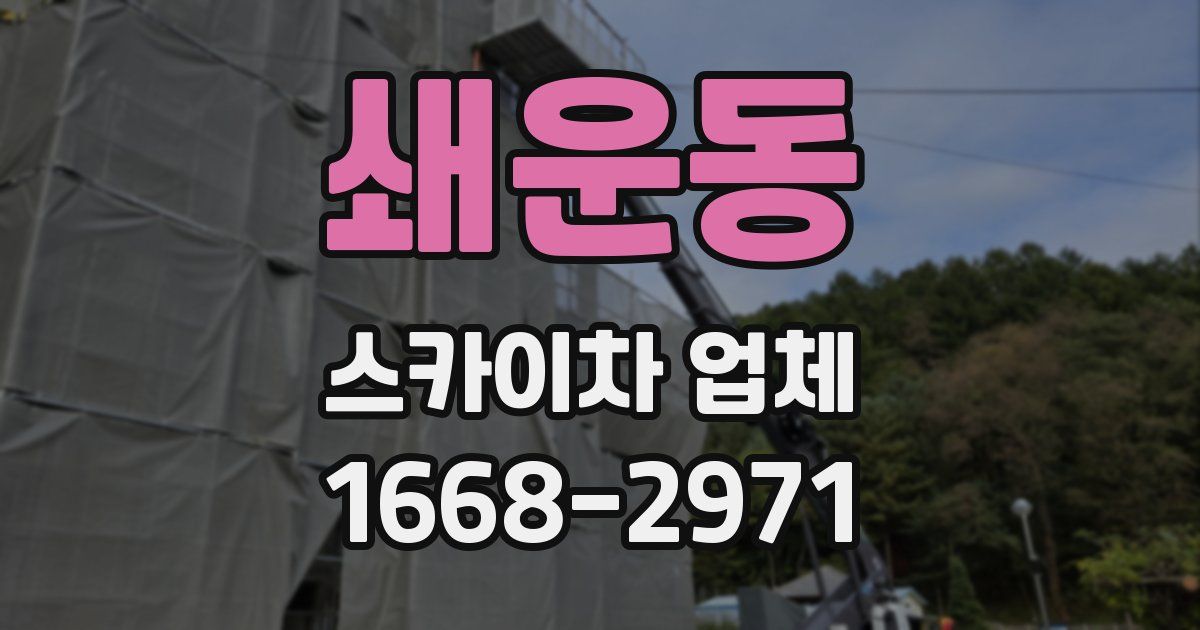 쇄운동 스카이차 업체