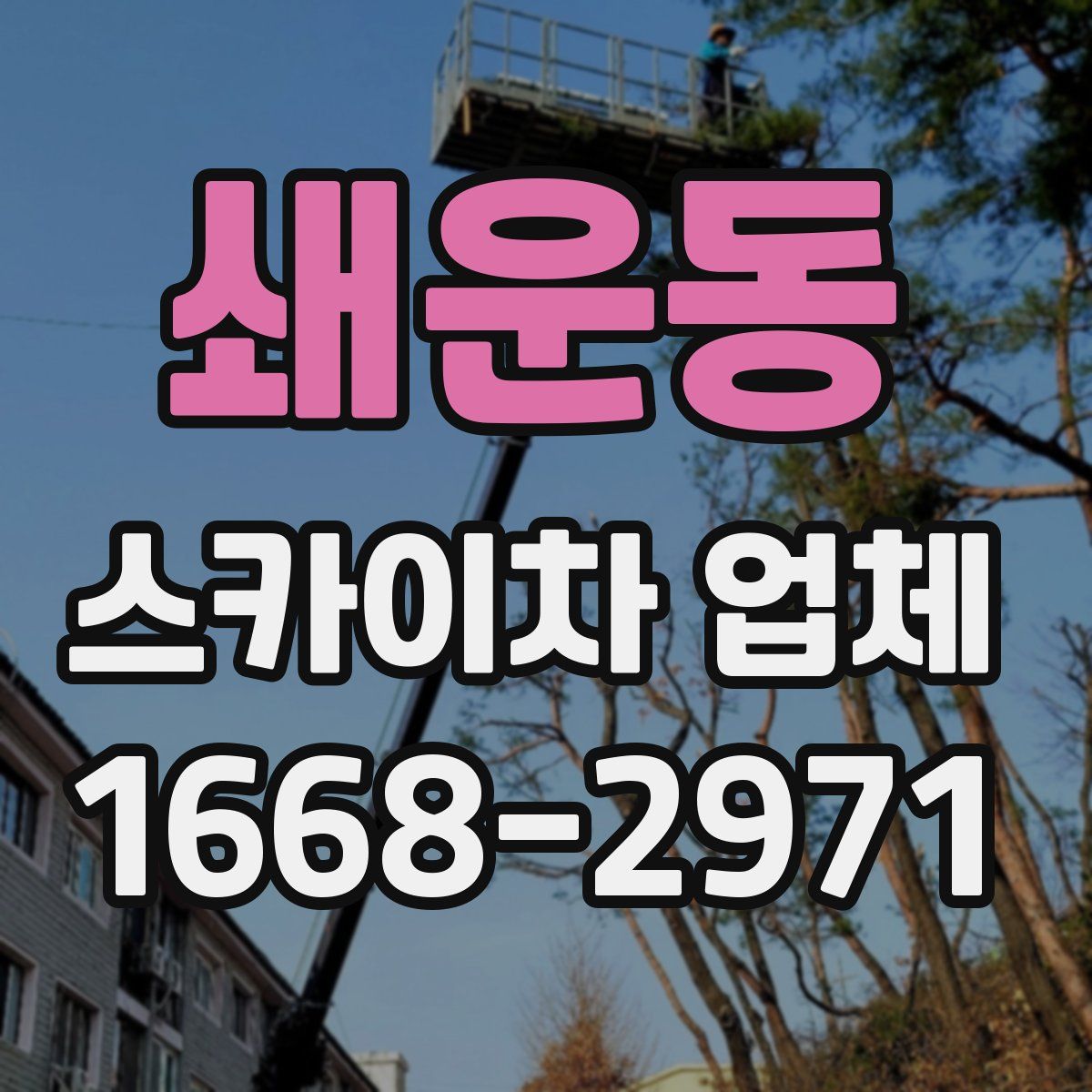 쇄운동 스카이차 업체