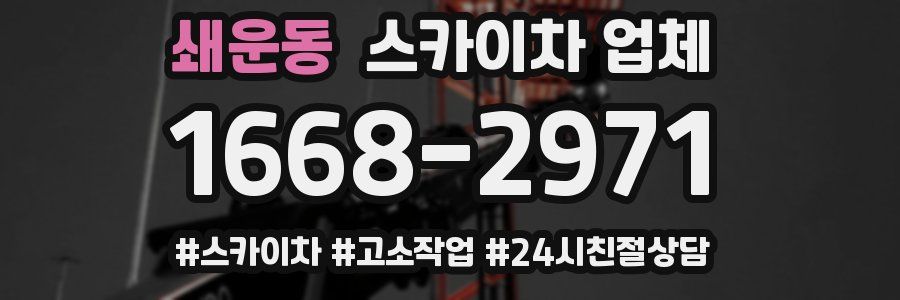 쇄운동 스카이차 업체