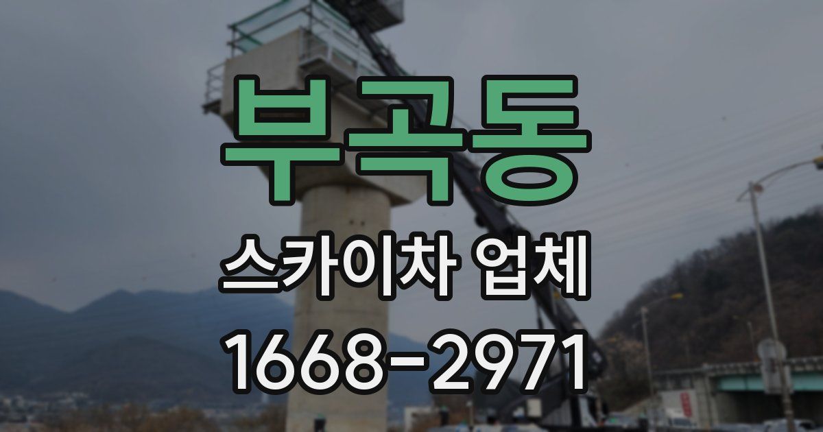 부곡동 스카이차 업체