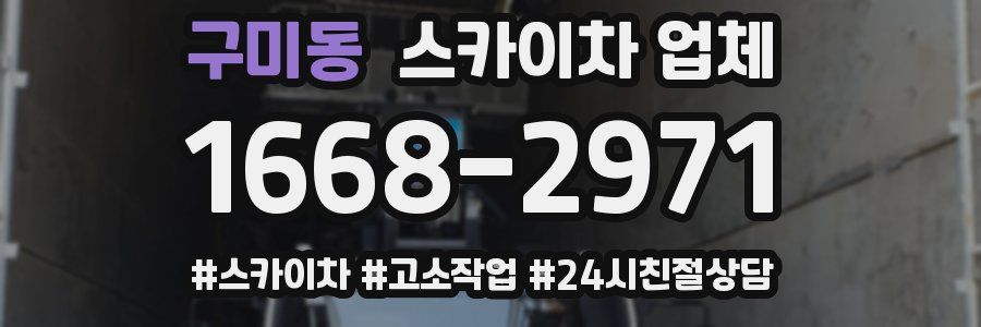 구미동 스카이차 업체