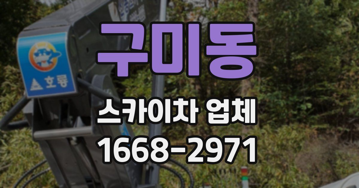 구미동 스카이차 업체
