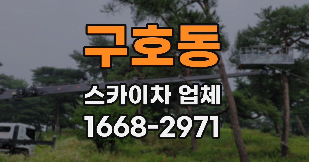 구호동 스카이차 업체