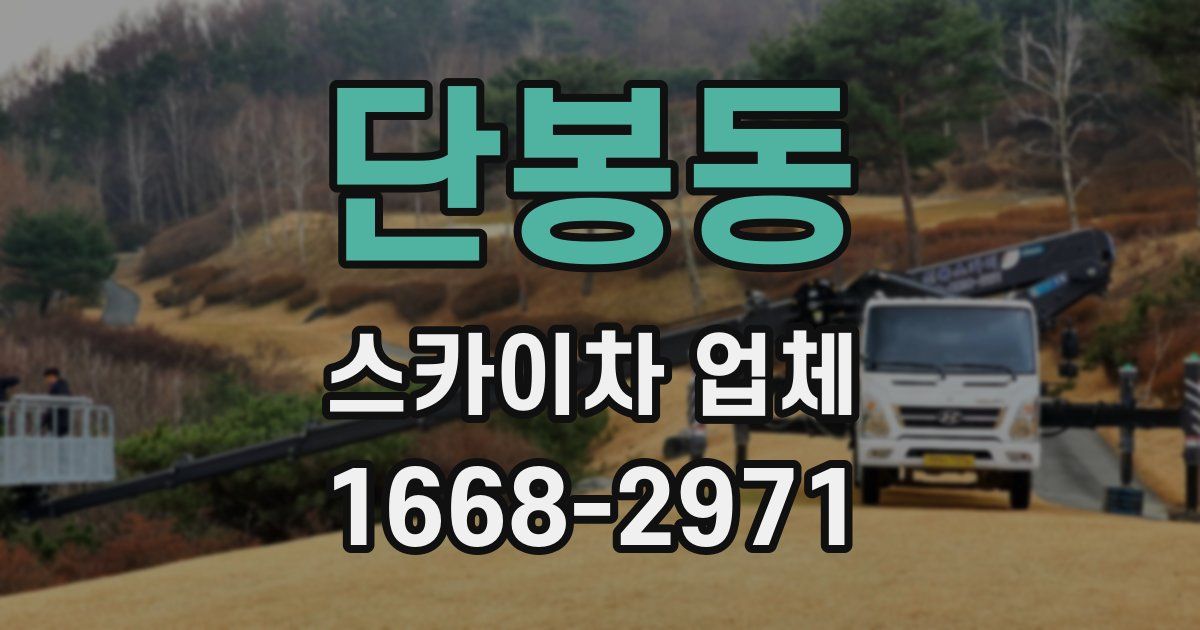 단봉동 스카이차 업체
