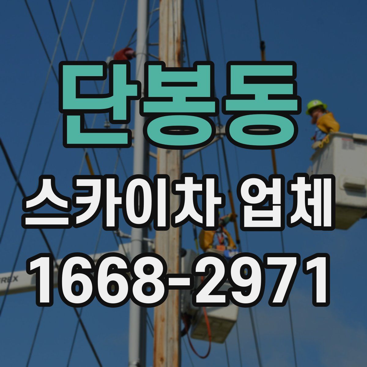 단봉동 스카이차 업체