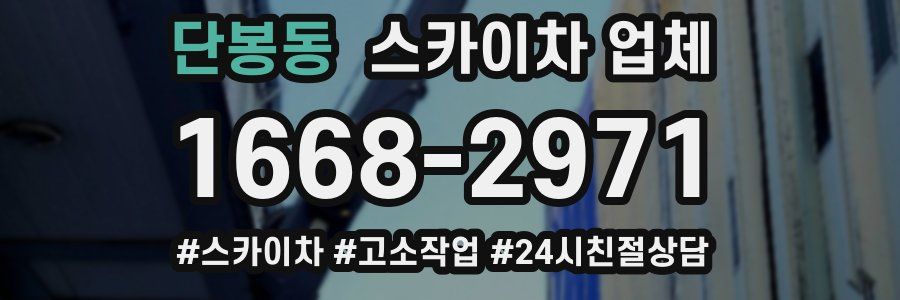 단봉동 스카이차 업체