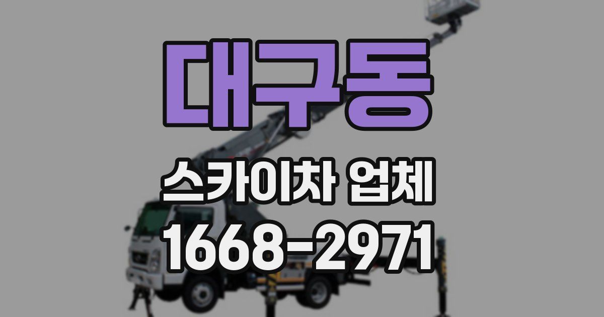 대구동 스카이차 업체