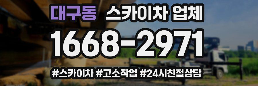 대구동 스카이차 업체