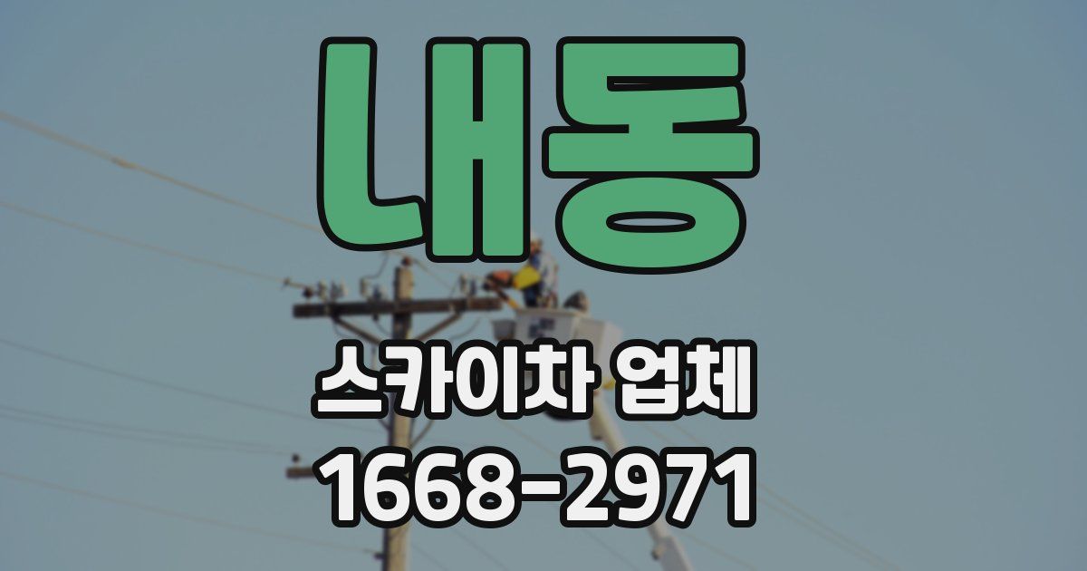 내동 스카이차 업체